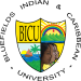 Elearning BICU